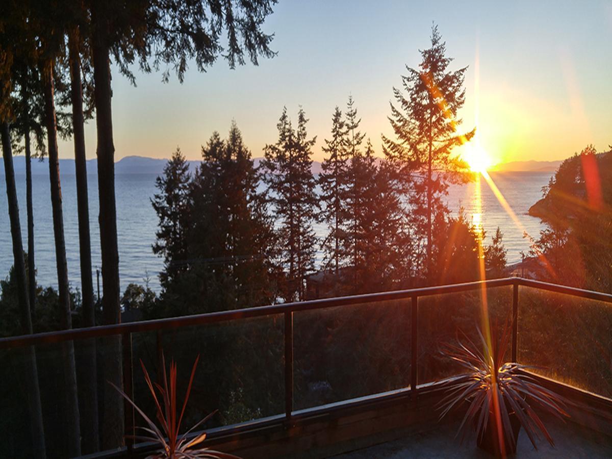 Sunshine Coast Treetop B&B Сечелт Екстер'єр фото