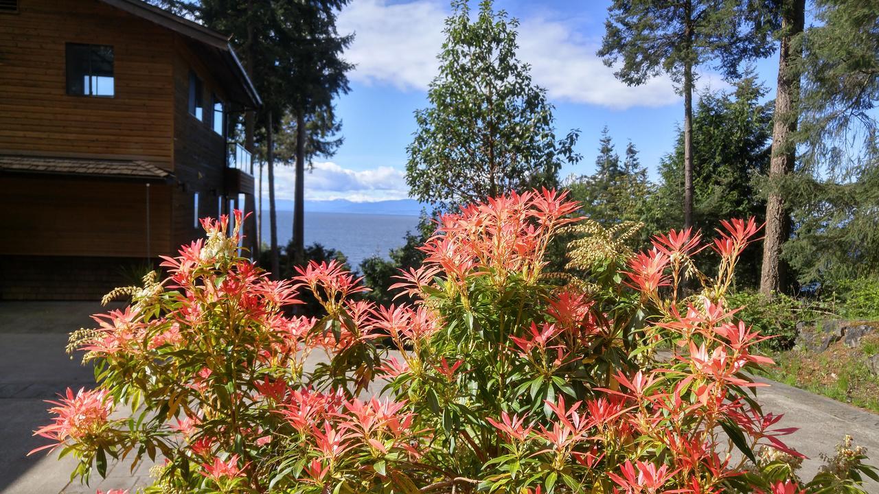 Sunshine Coast Treetop B&B Сечелт Екстер'єр фото