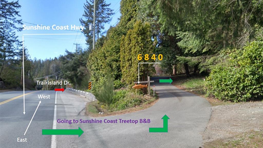 Sunshine Coast Treetop B&B Сечелт Екстер'єр фото