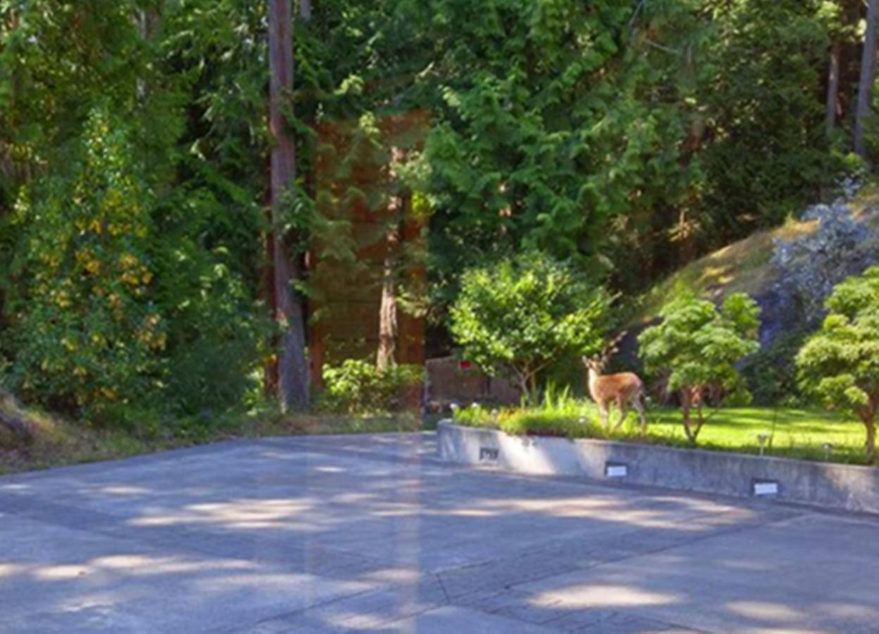 Sunshine Coast Treetop B&B Сечелт Екстер'єр фото
