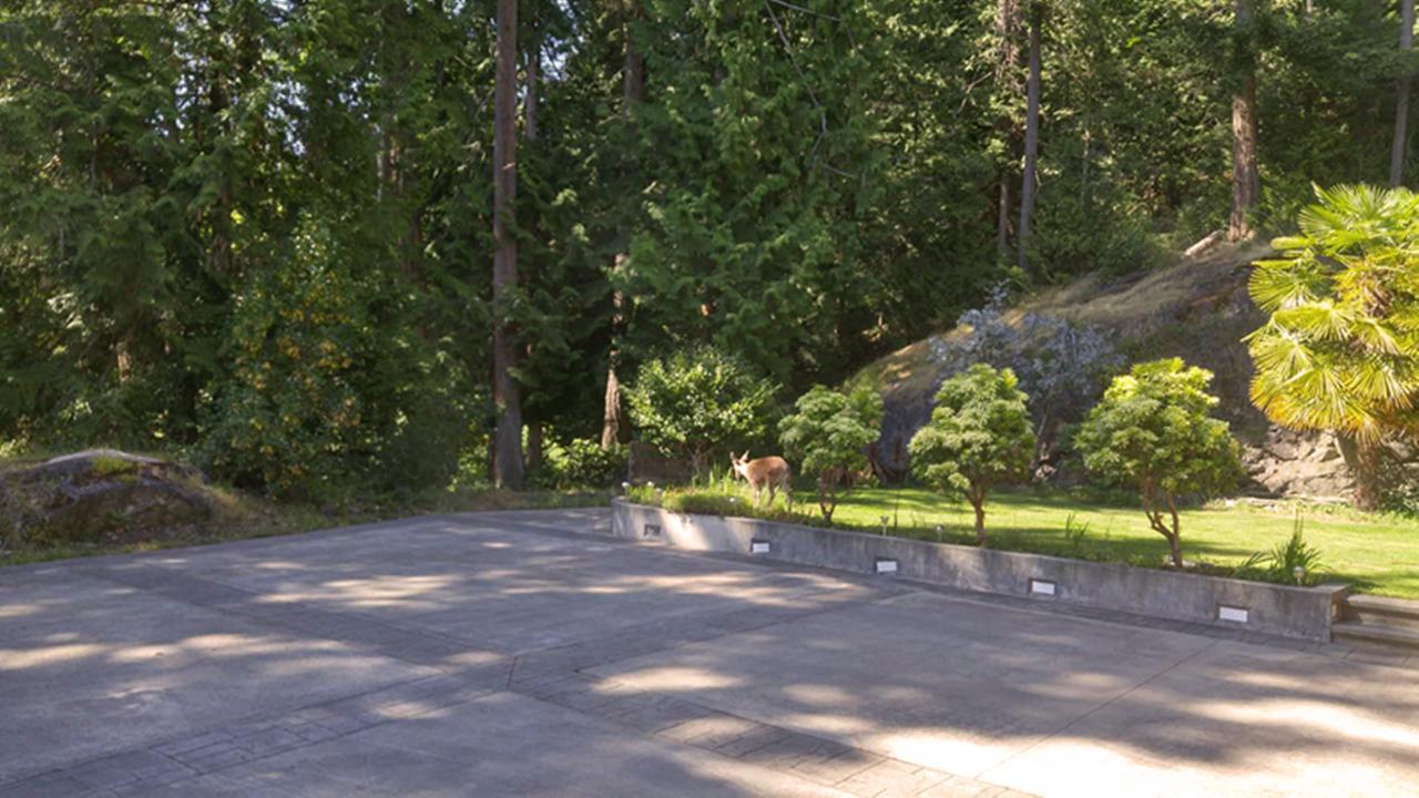 Sunshine Coast Treetop B&B Сечелт Екстер'єр фото