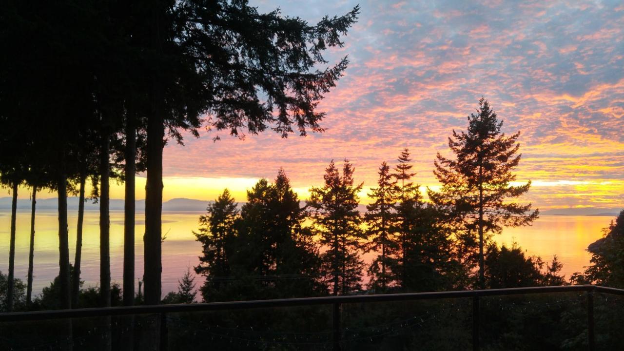 Sunshine Coast Treetop B&B Сечелт Екстер'єр фото